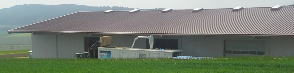 Strohpellets